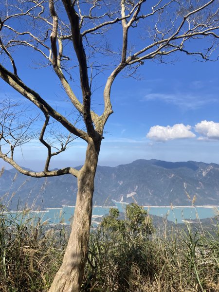 20260214三竹縱走;三腳南山+竹仔尖山3001691