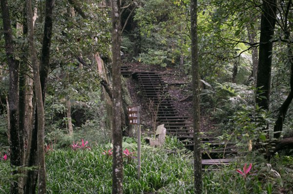 北港二坑-翠湖-內溝山-油桐嶺-老鷲尖山-老鷲尖南峰-學頭坡山 O型2232065