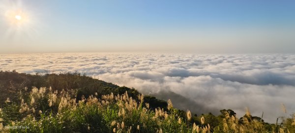 #觀音山 #雲海 #夕陽 #天空之城 #大赤鼯鼠（飛鼠） 2/132999446