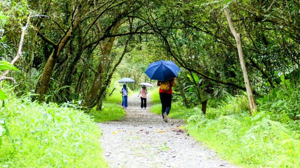 九寮溪自然步道2826877