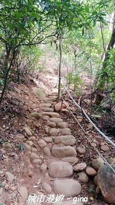 【苗栗三義】台灣百大必訪步道。 火炎山、南鞍古道O繞x火炎山下花海2954166