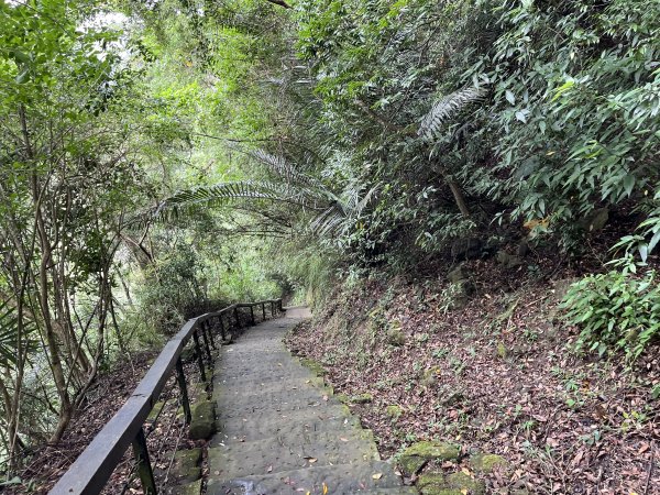 [皮皮獅Hike客任務-04/10] 2024_0721 獅山古道2557462