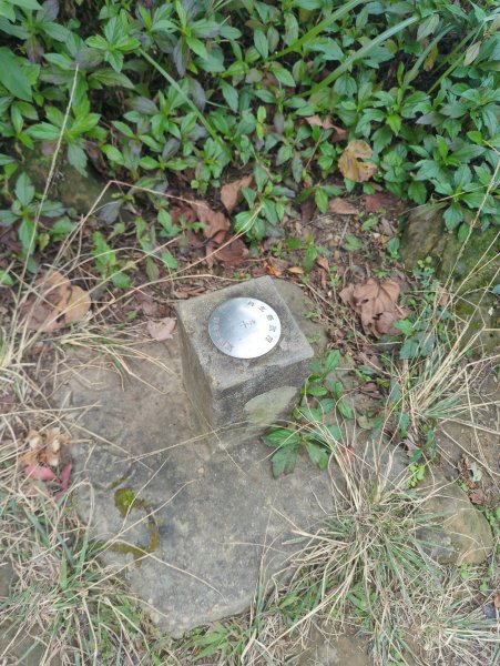 2026.01.25－微笑山線：【天上山系】烘爐地土地公段2994621