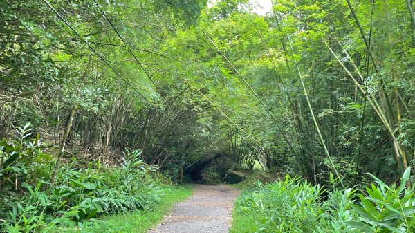 礁溪跑馬古道2848461