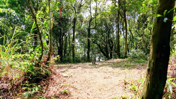 石碇大崙,人頭面山,獅公髻尾山2800430