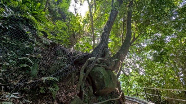 114.06.01溪山百年古圳-太平尾山+聖人崙之旅2801835