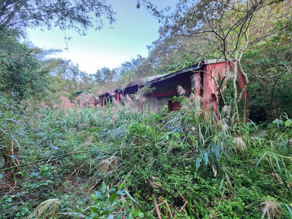 20241201侯硐復興煤礦三貂嶺山大小粗坑O型2681271