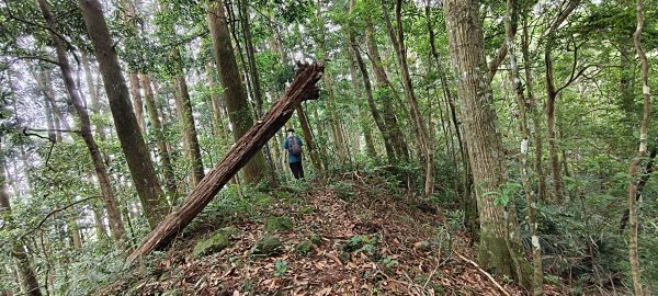 2025/05/17-凌空廊道至比麟山來回2790081