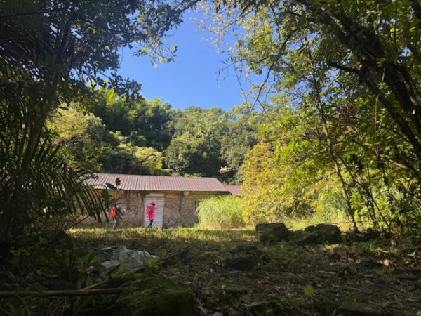 2025-08-30 豎旗山西北稜上-豎旗山-烏山古道西段下2874117