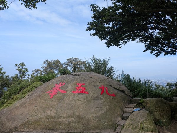 2025-06-01 五進五出九五峰2804164