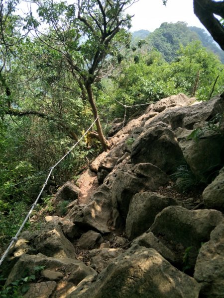 龍麟山步道1462804