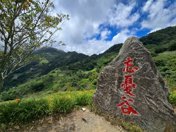 太麻里金針山2872630