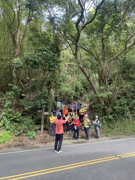 如墨暈染的春日邂逅｜中山樓墨染櫻 × 北投步道探花記2853883