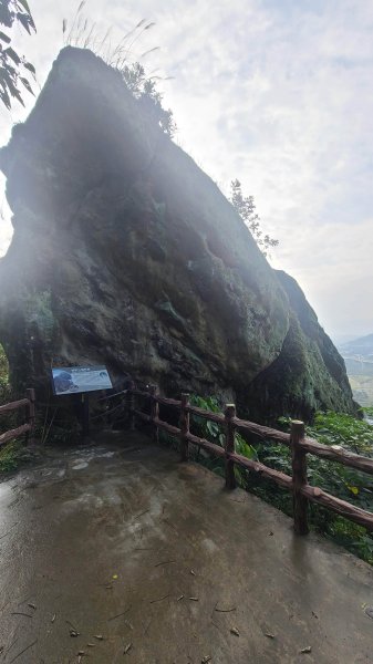 2025-0204 鶯歌_大凍山_三角埔頂山_迴龍2707989