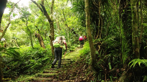 【淡蘭中路】翻山越嶺的茶商之道981268