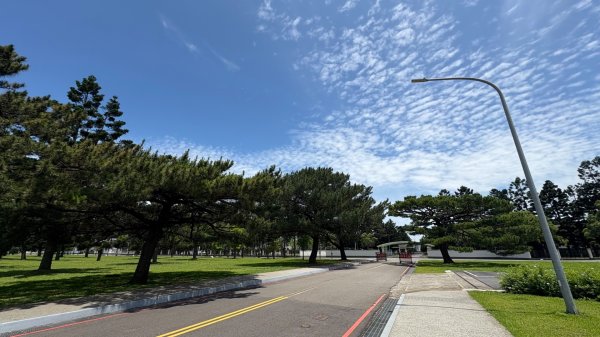 綠衫林公園2800889