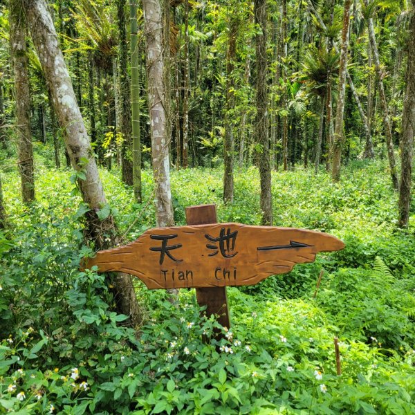 天池步道、龜形山1739087