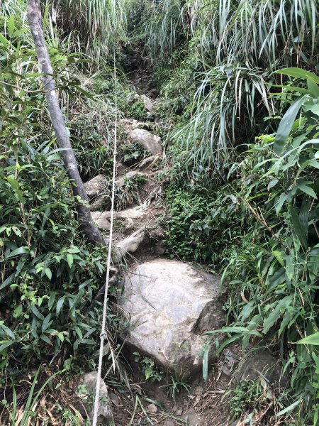 【宜蘭礁溪】抹茶山~超消暑聖母登山步道640597
