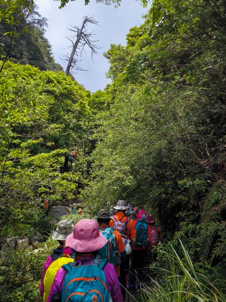 2025-05-17 羅葉尾溪秘境2792408