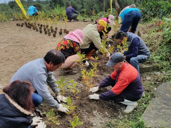 【新聞】森活大樹聚 保安林植樹去