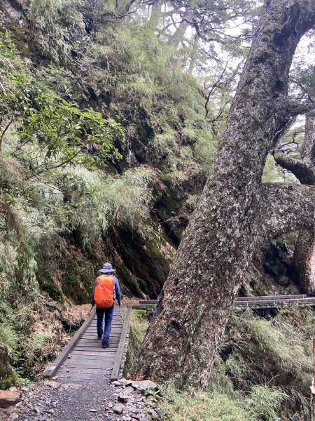 20230515-16玉山前西峰+遠望雨中的主東北2436680