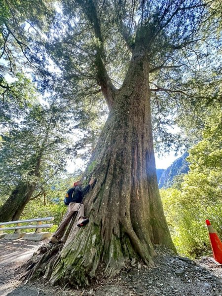 20250620南橫三山塔關山2816709