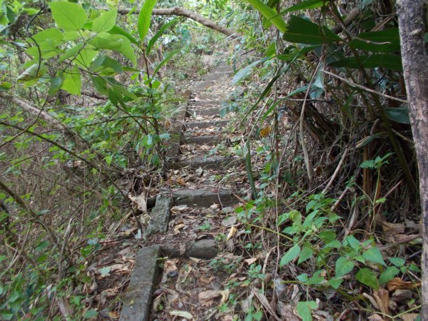 鷹山連走夫婦山西峰1143778