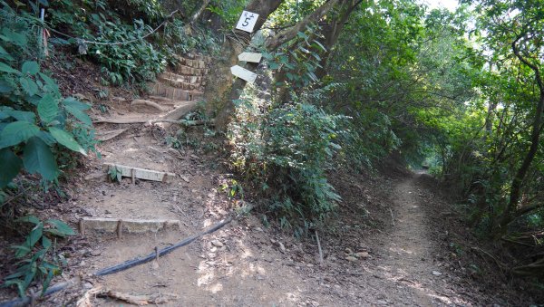 小百岳集起來_笠頂山登山步道2368371