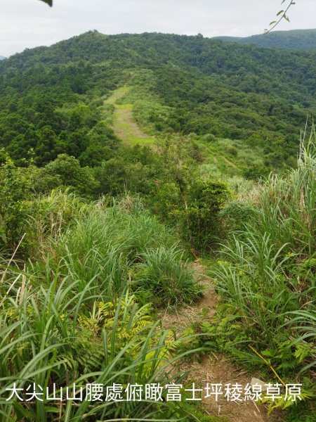 風擎步道-淡基橫斷古道-富士坪古道上大尖山1742550