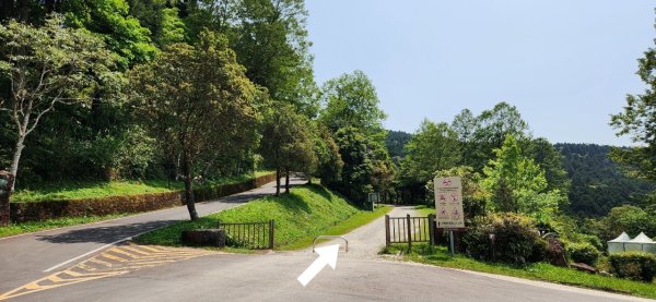 【中級山縱走】志繼山，東眼山，拉卡山，卡外山，東滿步道2742605