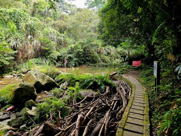 四寮溪生態步道-2025森遊竹縣皮皮獅探險隊2889100
