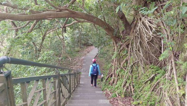 (姨婆趴趴走)第五十二集:新北新店攀登和美山及灣潭山2761087