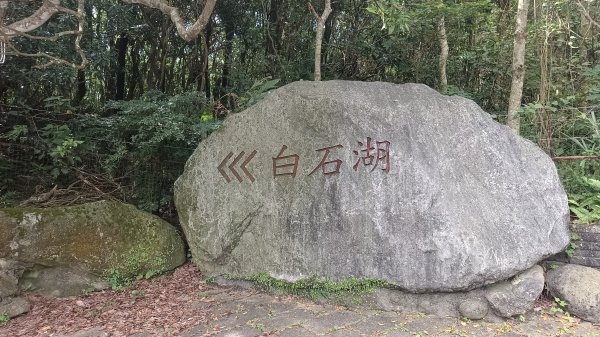 (姨婆趴趴走)第五十五集:攀登健走台北大崙頭尾山親山步道環狀一圈2853728