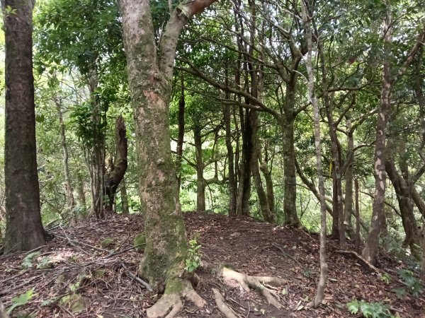 平溪區平溪子山遇雷雨O型2850133