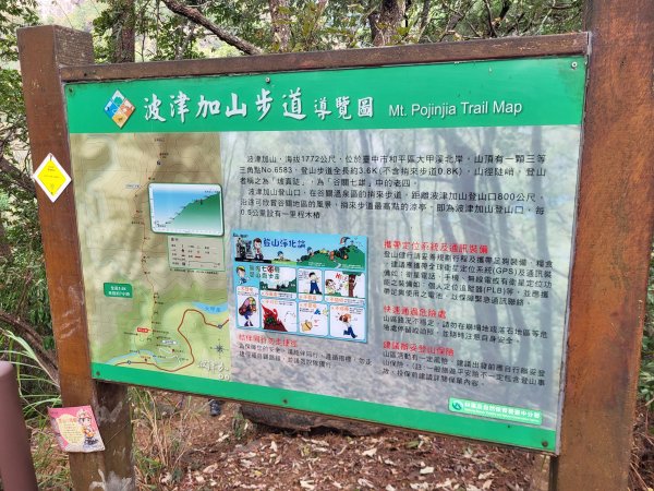 2025.11.30 谷關七雄 No.4 波津加山，不給休的蜂2952123