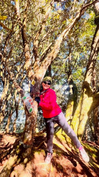 🌈11/9(日)高島縱走~高台山連走島田山山徑✨FB：熊熊趴爬走🌈2932516