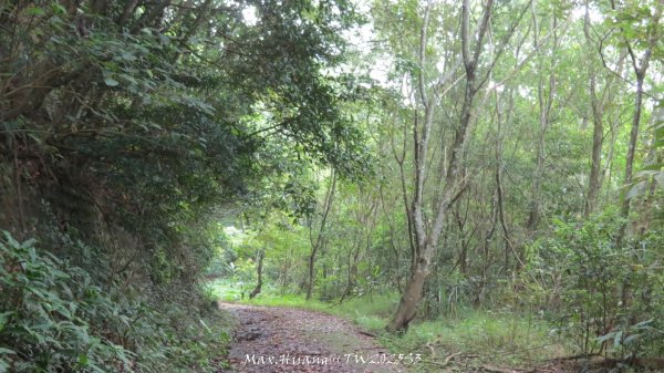 《苗栗》關刀出關｜三義關刀山出關古道(聖關段-苗56)202509052878818