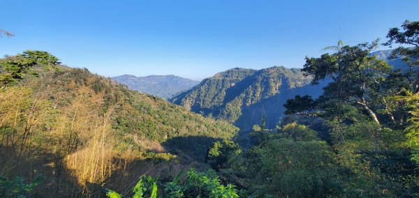 2025-01-30瑞太古道2704358