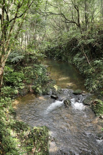 2019.02 崩山坑古道528322