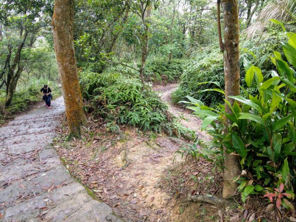 大崙頭山(小百岳#8)→燕溪古道→婆婆橋935832