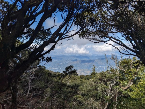 魯培山南插天山2357483