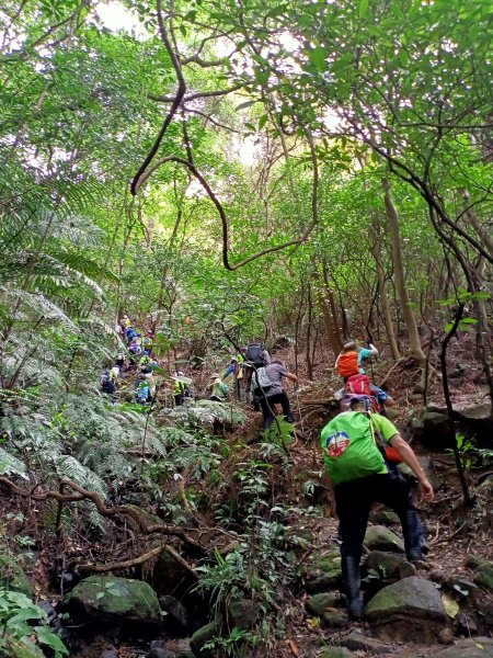 【大內連峰】大湖公園→內溝溪生態步道1727865