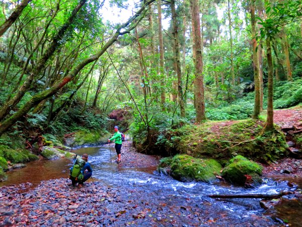 淡蘭古道輕旅行:坪溪古道出外澳546095