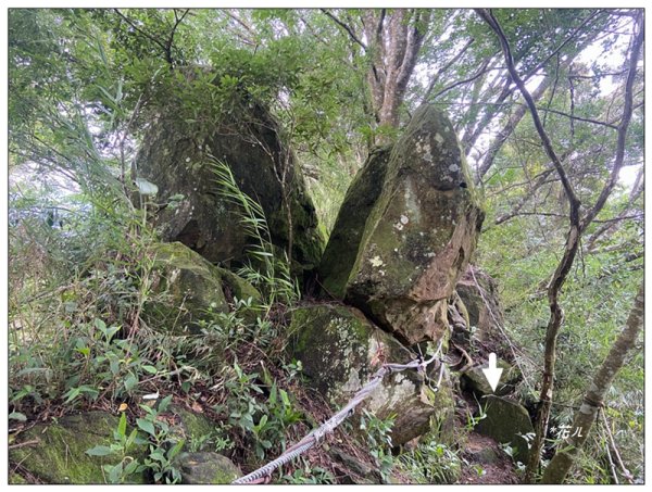 大克山 南稜線A上B下 (卓蘭最高峰)2825466