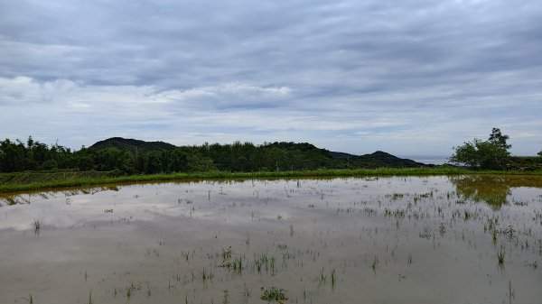楊廷理古道2814634