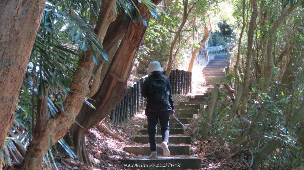 《台中》落雨松季｜石岡挑物古道O繞下情人木橋202501122687624