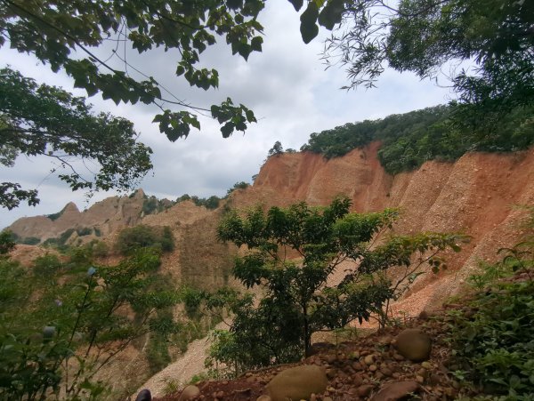 2025.07.12－火炎山、南鞍古道O行縱走2834814