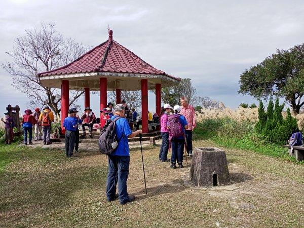 【小百岳集起來】土庫岳芒花飄逸、楓紅絢麗1221960