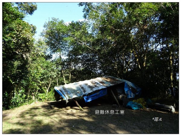 網子山、鳴海山(小百岳)連走2405756