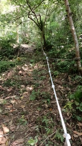 平溪區東勢格古道-咸豐嶺烽火台-峭壁雄峰-三抱竹鞍-白石後仙洞-東勢格古道P字走3126889